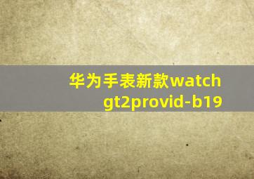 华为手表新款watch gt2provid-b19